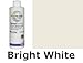 Polyblend #381 8 oz. Bright White Grout Renew Colorant