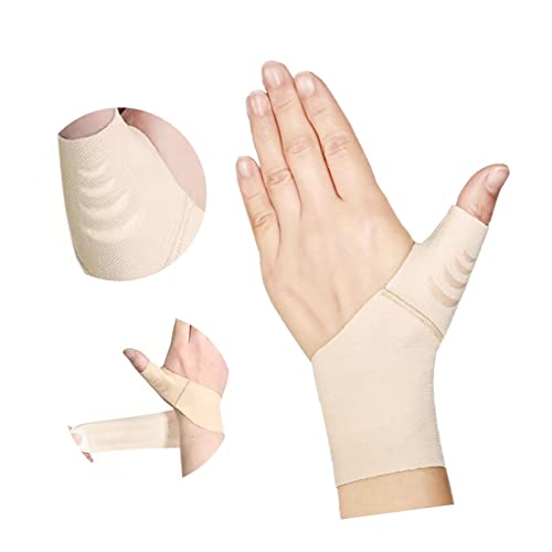  ew F ֐ T|[^[ _炩  T|[^[ VR[ t[ KXߐ h~  Ǝ X|bc S 퐶 j   t[TCY