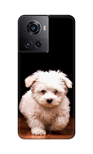 Image of PRINTFIDAA� Printed Hard Back Cover Case for OnePlus 10R 5G 80W | 150W Back Cover (Puppy Dog) -2808