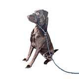 Licol Tout en Un - Licol/Licol Anti-Traction - Convient à Tous Les Chiens (Bleu/Noir)...