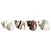 Hermit Crab Shells | Turbo Shells | 4 Assorted Turbo Shells 2-2.5