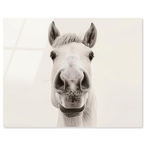 Playful Pony Acrylic Print Western Wall Decor by Notoriart, Ready to Hang, 45 x 36
