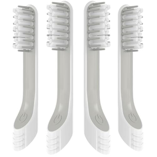 uVwbh QuipuVΉ SAREAL 4pbN pwbh uVwbh Quipplߑւp (zCg 1{(4{pbN)