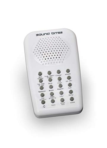 Electronic Sound Bites