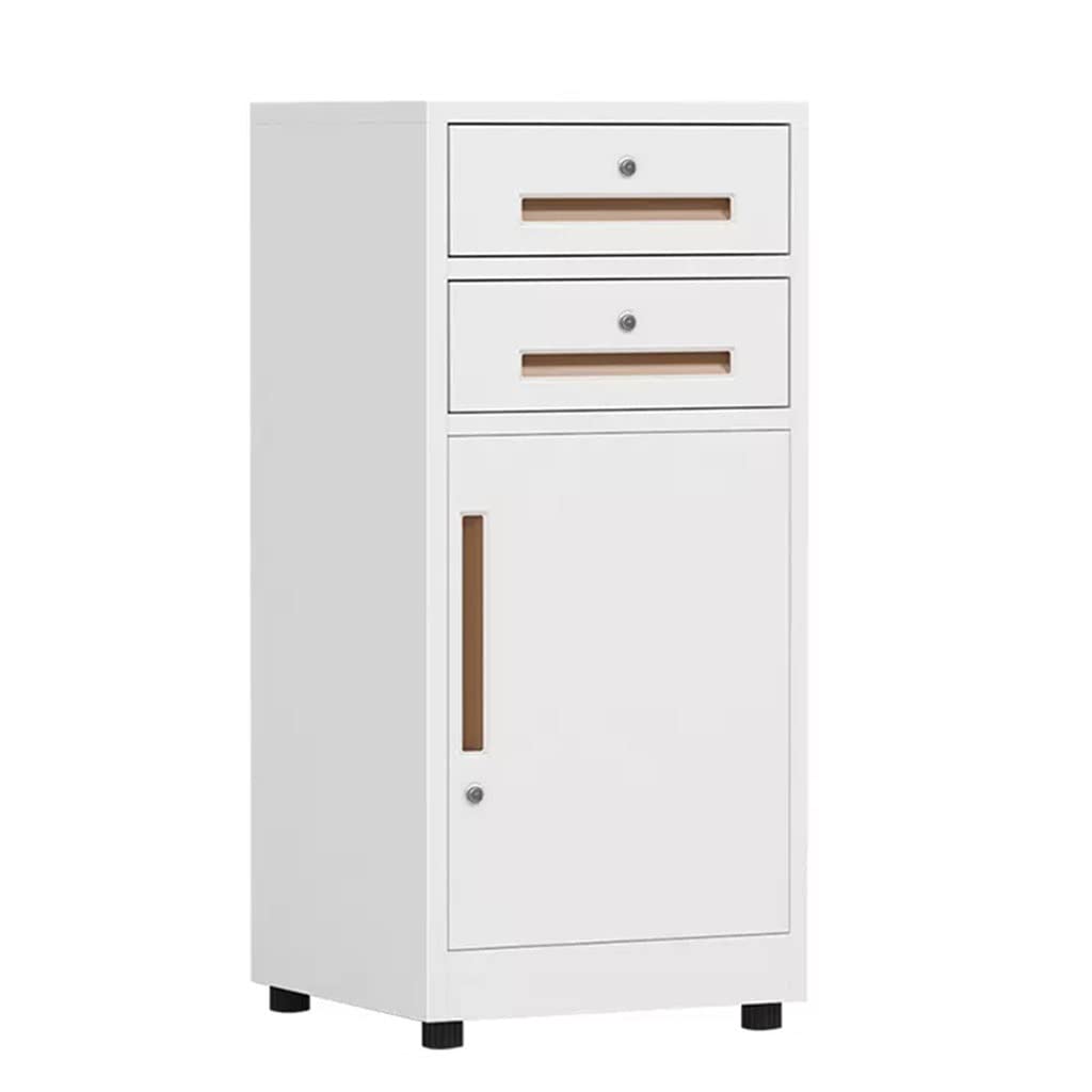 Aioneer White Steel Under Desk File Cabinet Adjustable Partition For Large Storage 40X39x85cm Black-40X39x85cm