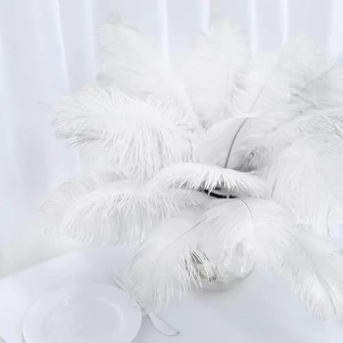 Balsa Circle 12 Pcs 13-15-Inch Long White Authentic Ostrich Feathers For Centerpieces Wedding Party Table Decorations #TOP1