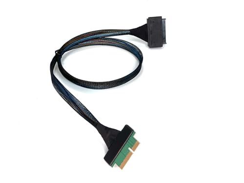 Micro SATA PCIe 4.0 X4 a U.2 SFF-8639 NVMe SSD 700mm