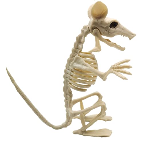 Squelette de souris effrayant pour décorer votre table d'Halloween