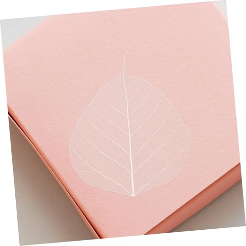 Hojas Naturales Esqueleto 20pcs para Manualidades y Marcapáginas miniatura 4