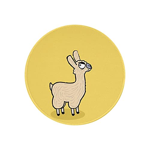 �}�E�X�p�b�h �ی^ ���F �A���p�J �� ������� �h�� ����~�� �S�������� �Q�[�~���O�}�E�X�p�b�h �m�[�g�p�\�R�� PC ���E���h�}�E�X�p�b�h �f�X�N�}�b�g �ϋv�����ǂ� �I�t�B�X�p �r�W�l�X�p �ƒ�p �Q�[���p �~�` 20cm