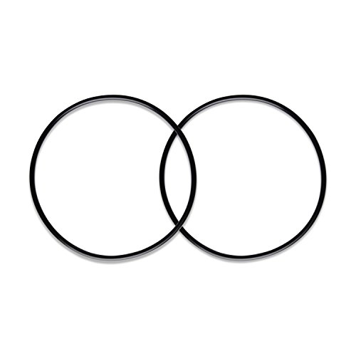 iSpring ORBX2 O-Ring for Big Blue Water Filter Housing (2 Pack)