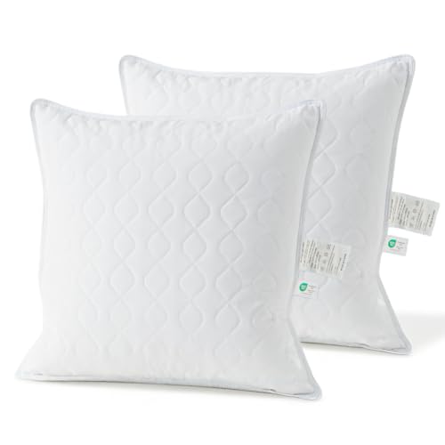 Deodar Cuscini in Piuma d'Oca 45X45 Set di 2, Imbottitura in 95% Piumino e 5% Piume d'Oca, Cuscini Decorativi per Letto Divano Hotel, 3 Camere Traspirante Lavabile, Certificato Öko-Tex e RDS