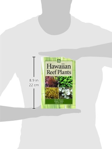 Hawaiian Reef Plants - Image 2