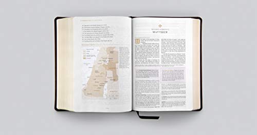 Image of ESV Women's Study Bible (TruTone, Deep Brown): Holy Bible, English Standard Version