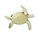 Safari Ltd. Green Sea Turtle Figurine - Detailed 4