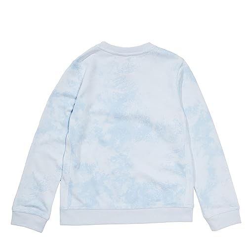 Nike Boy's Sportswear Club Fleece Pullover Crew (Little Kids/Big Kids)2