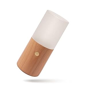 Acrylic Touch Lamp with Gravity Sen...