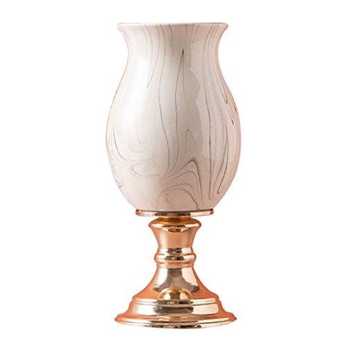 Jarrones Decorativos de Suelo Marca ZYLBDNB