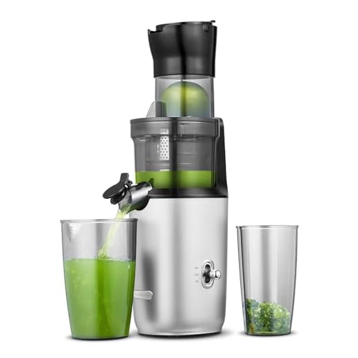 AMZCHEF Estrattore Frutta E Verdura Per Tutta La Frutta - Estrattore A Freddo Frutta E Verdura Con 80MM Scivolo Alimentare, Coclea Potenziata, Filtro A Doppio Strato, Motore Silenzioso - Argento