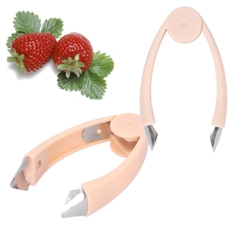 Sbucciatore di fragole, 12cm/4in Ananas Professionale Ananas Core Remover Pelapatate in Acciaio Inox A Forma di V Può Anche Rimuovere Il Tronco per Fragole Strumento di Rimozione Del Gambo Della Usato