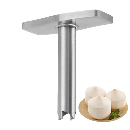 Kokosnuss-Lochöffner, Kokosnuss-Stanzer | Kokosnuss-Lochstanzer | Kokosnuss-Lochstanzer, Kokosnuss-Öffner, Strohhalm-Lochmacher, Edelstahl-Kokosnuss-Werkzeug für Kokoswasser-Saft Kokosnuss-Lochöffner, Kokosnuss-Stanzer | Kokosnuss-Lochstanzer | Kokosnuss-Lochstanzer, Kokosnuss-Öffner, Strohhalm-Lochmacher, Edelstahl-Kokosnuss-Werkzeug für Kokoswasser-Saft