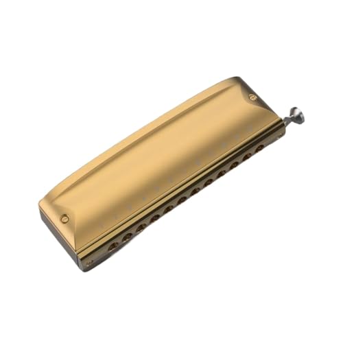 TYCHWZRMV qƑl̃WAgjbNn[jJA Student Harmonica Durable Silver Gold Professional Harmonica 12 Hole Chromatic Harmonica harmonic