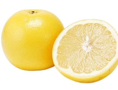 【朝市場直行】南アフリカほか グレープフルーツ 1個 約250〜300g x6個セット【冷蔵】