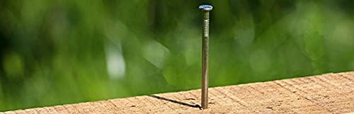 Round Wire Nails - Stainless Steel 50mm x 2.65mm 1Kg