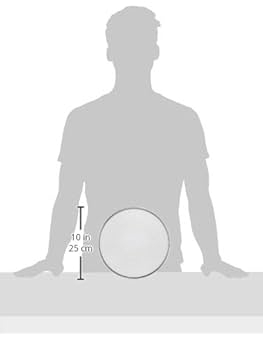 Amazon｜遠藤商事(Endo Shoji) こし器 業務用 ワンタッチうらご