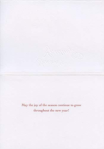 Designer Greetings Two Pine Cones on Branch Season's Greetings Box of 18 Christmas Cards