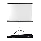 Ideal para cine en casa y salas de conferencias