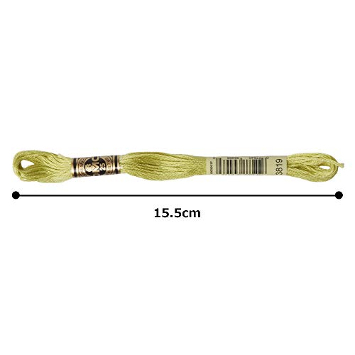 Image of DMC 6-Strand Embroidery Cotton Floss, Light Moss Green