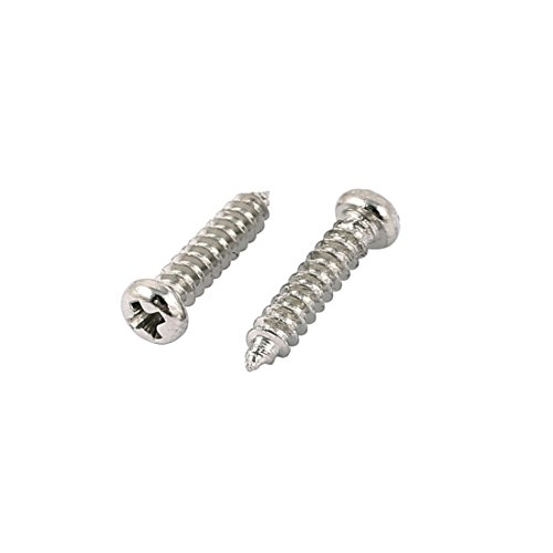 100 tornillos autorroscantes inox M2.5 x 12 mm Phillips miniatura 2