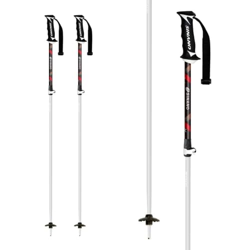 Vim XgbN SINANO FREE X AL BK t[GbNX ubN Lk|[ TCY 100-123