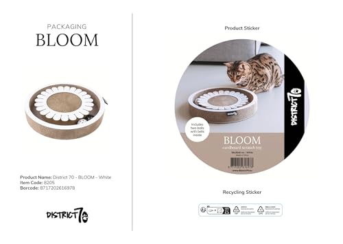 District 70 Bloom White