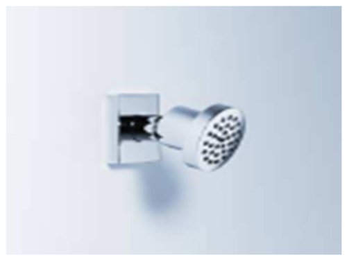 Dornbracht28518780-08 Mem Body Spray In Platinum