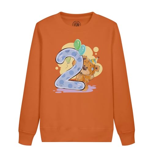 Sweatshirt enfant 2 ans anniversaire : le cadeau parfait avec son dessin d'ourson