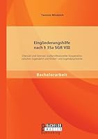 Eingliederungshilfe nach § 35a SGB VIII: Chancen und Grenzen multiprofessioneller Kooperation zwischen Jugendamt und Kinder- und Jugendpsychiatrie 3958202985 Book Cover