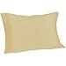 Spasilk 100% Pure Silk Pillowcase for Facial Beauty and Hair Health, Standard/Queen, Champagne