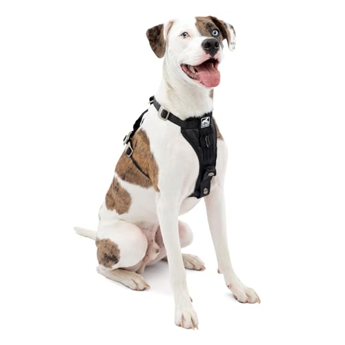 Kurgo Enhanced Strength Tru-Fit Dog Car Harness - Pet Travel Safety Harness - Crash Test Certified Fit - Five Point Adjustment - Secure Buckle - Padded Chest - Black - Medium
