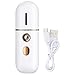 NINGWANG Vaporizzatore Facciale Portatile, Umidificatore Facciale USB, Spruzzatore Facciale, Macchina per Nebulizzazione un Vapore per il Viso un Portata di Mano