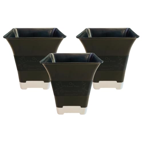 See full amazon price history chart for Hug A Plant |Hot Square Plastic Pot for Home & Garden (22CM|9INCH, Pack of 3, Black) Hug A Plant |Hot Square Plastic Pot for Home & Garden (22CM|9INCH, Pack of 3, Black) (B0CLLYY546) Amazon Price History, Amazon Price Tracker