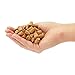 Juvale 100 Pack Size #1 Tapered Cork Plugs for Test Tubes, Mini Bottle Stoppers, DIY Crafts Corks for Special Events like Wedding, Reception, Birthday Parties, Themed Celebrations, 0.4 x 0.3 x 0.5 In