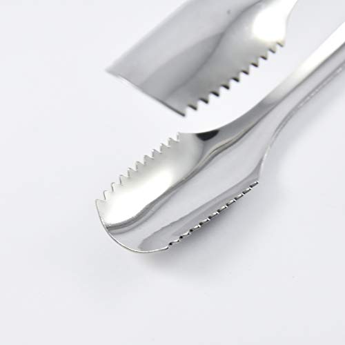 Molla pinza per ghiaccio, acciaio inox, 16x6x4 cm