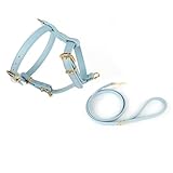 Luxury Dog Harness and Leash Set – Premium PU (Vegan) Leather with Polyester Reinforcement, Gold Metal Hardware – Adjustable, No-Pull, Stylish & Comfortable Design (Blue, Extra Small (XS))