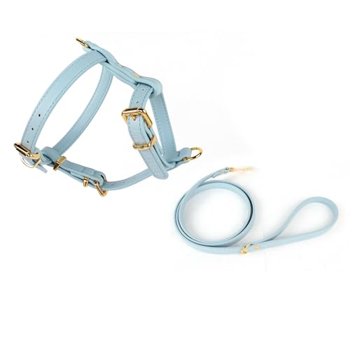 Luxury Dog Harness and Leash Set – Premium PU (Vegan) Leather with Polyester Reinforcement, Gold Metal Hardware – Adjustable, No-Pull, Stylish & Comfortable Design (Blue, Extra Small (XS))