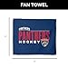 Northwest Florida Panthers NHL City Hockey Rally Towel 18 x 15 Inches