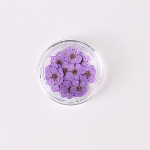 100 piezas flores secas de narciso prensadas para arte en uñas miniatura 1