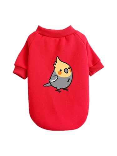  IE RSECR 킢 LN^[ ybg hbOEFA ̕ L ybgEFA h _炩 іh~   t@bV U ybgpi