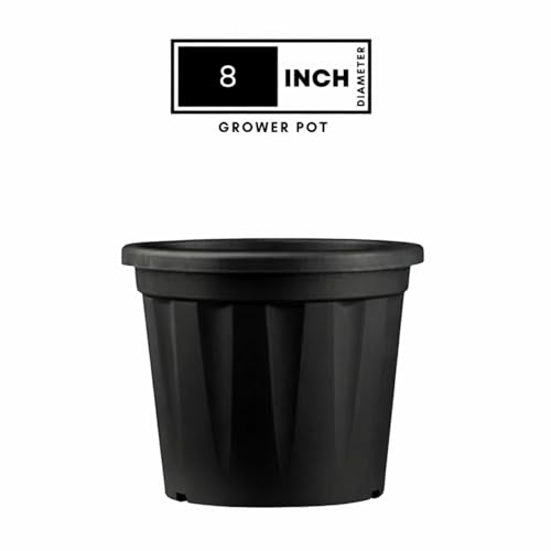 Image of 8 Inch Heavy Duty Plastic Planter | Grower Pot /Garden Pot for Home & Garden (Black) (Pack of 1)